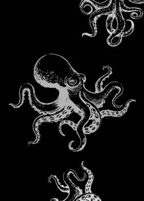 Octopus black white