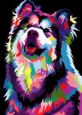 colorful dog on pop art