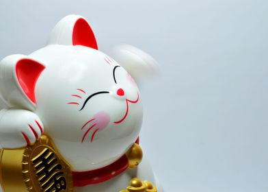 Japanese lucky coin Cat