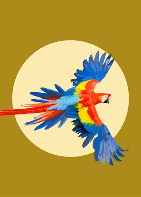 macaw sun vector moder art