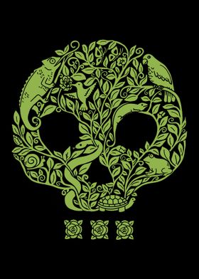 Skull animals and plants