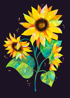 Sunflower