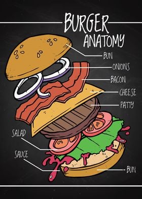 Funny Burger Anatomy Meme