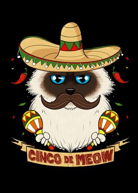 Cinco de Mayo Birman Cat