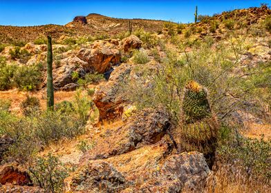 Apache Trail Scenic Drive