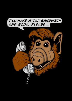 Cat sandwich and soda