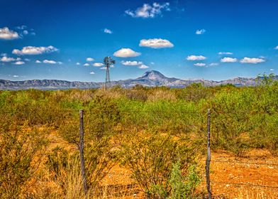 Chihuahuan Desert Windmill