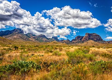 Big Bend National Park