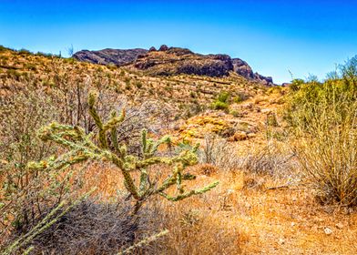 Apache Trail Scenic Drive