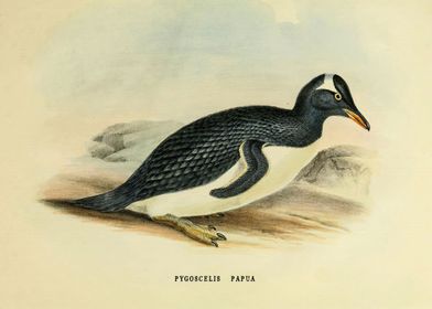Vintage penguin