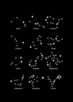 XII Constellations Zodiac