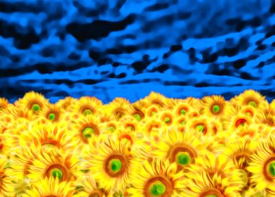 Ukraine Flag Sunflower Sky