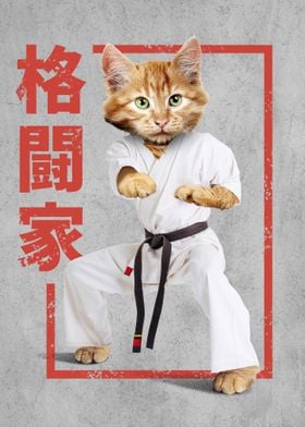 Kung Fu Cat