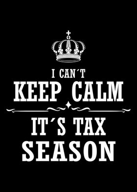 Accountant Tax Season Day