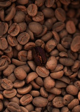 Roasted coffee bean on raw