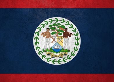 Flag of Belize on Wall