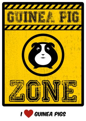 Guinea Pig Zone