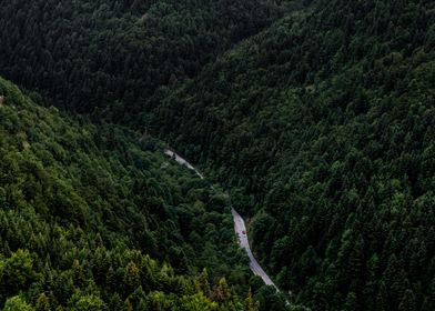 Mystical Road