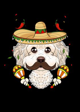 Cinco De Mayo Bichon Frise