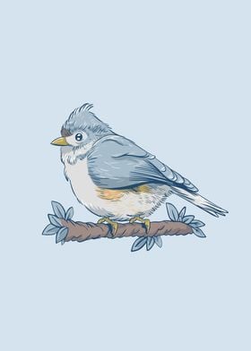 Tufted Titmouse