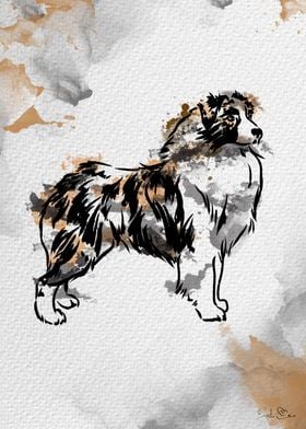 Australian shepherd dog