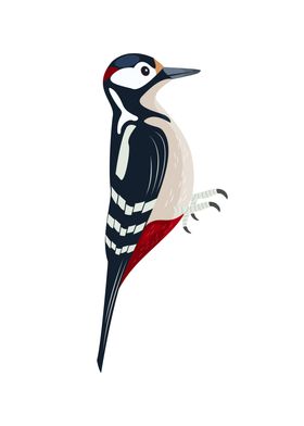 Great spotted Woodpecker