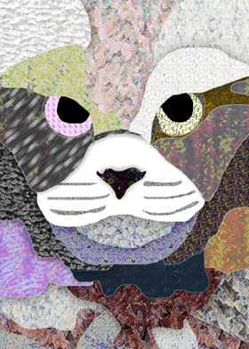 meow abstract