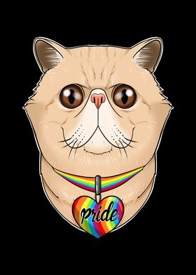 Exotic Shorthair Cat LGBTQ