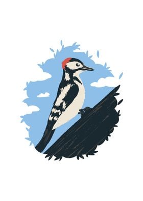 Hairy Woodpecker