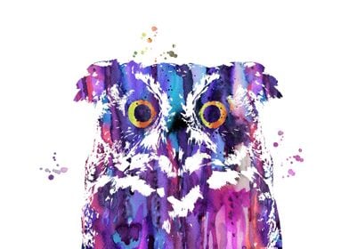 Owl 