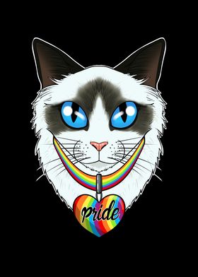 Ragdoll Cat LGBTQ Flag