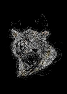 scribble art tiger