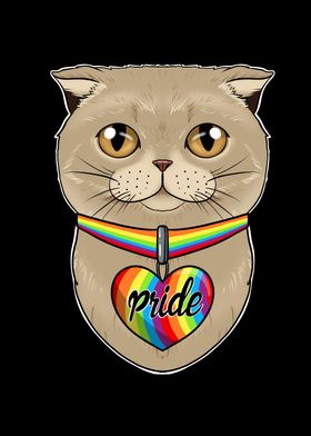 Scottish Fold Cat LGBTQ