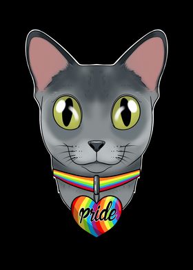 Russian Blue Cat LGBTQ