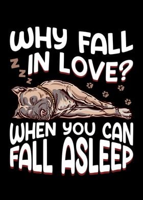 Why Fall In Love Pit bull