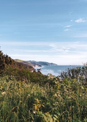 Oregon Coast Landscape 