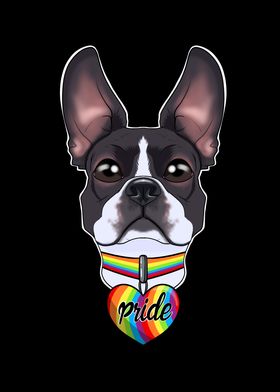 Boston Terrier LGBTQ Flag