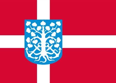 esbjerg city flag