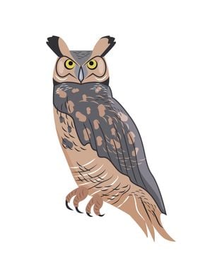 Great Horned Owl Bird