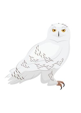 Snowy Owl Bird