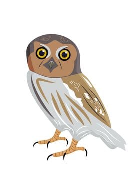 Elf Owl Bird Illustration