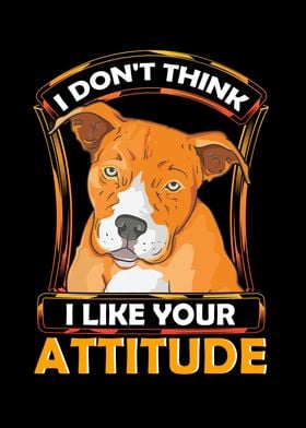 I Dont Like Your Attitude