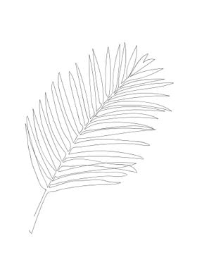 One Line Art Palm Leaf