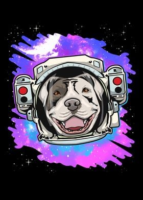 Pitbull With Space Costume