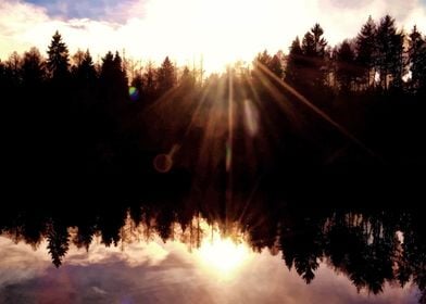 Trees are reflected in the