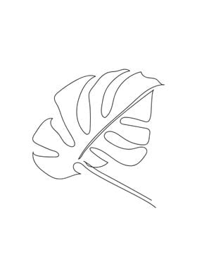 Monstera One Line Art