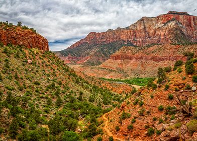 Watchman Trail in Zion