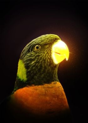 Luminous Coconut Lorikeet