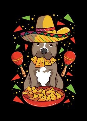 Mexican Pitbull Outfit