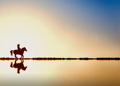 horse rider in sunset